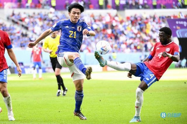 用这一年 用这一年