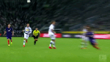 加维的回归 加维的回归