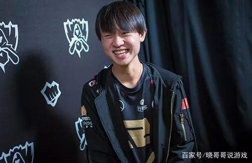 种职业范式